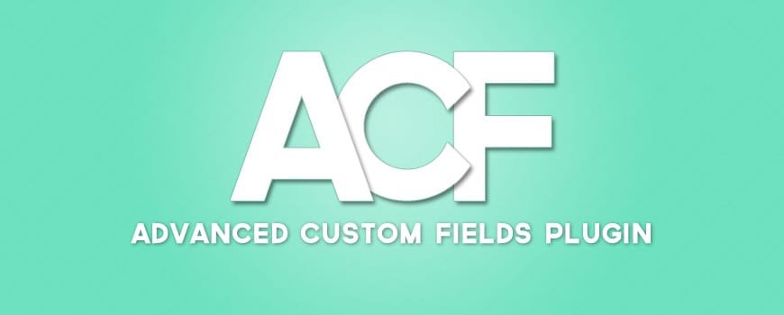 Examples of How the Advanced Custom Fields Plugin Can Be Used